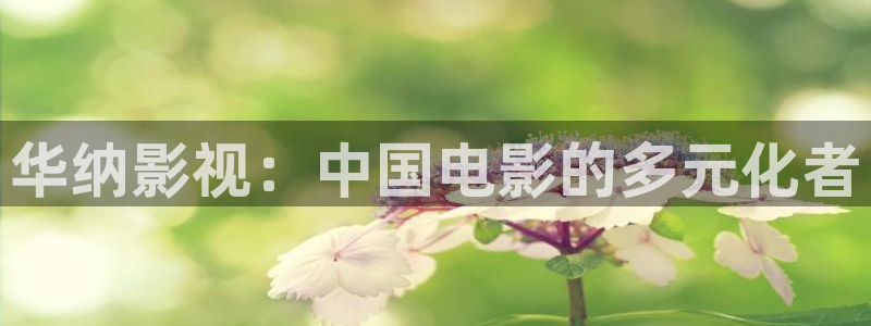 蟠桃 水蜜桃：华纳影视：中国电影的多元化者