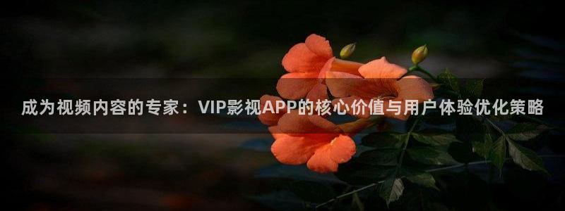 蜜桃影视在线看：成为视频内容的专家：VIP影视APP的核心价值与用户体验优化策略