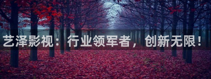 水蜜桃蜜桃在线观看：艺泽影视：行业领军者，创新无限！