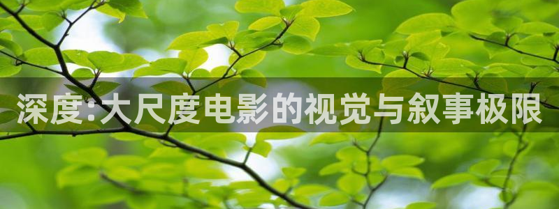 电影美丽小蜜桃在线观看：深度:大尺度电影的视觉与叙事极限