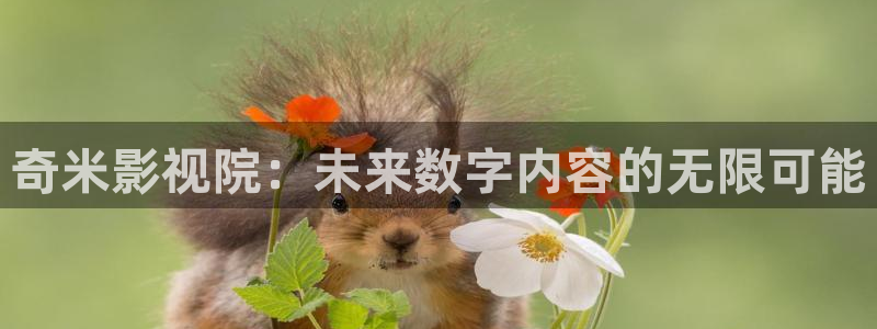 成都水蜜桃：奇米影视院：未来数字内容的无限可能