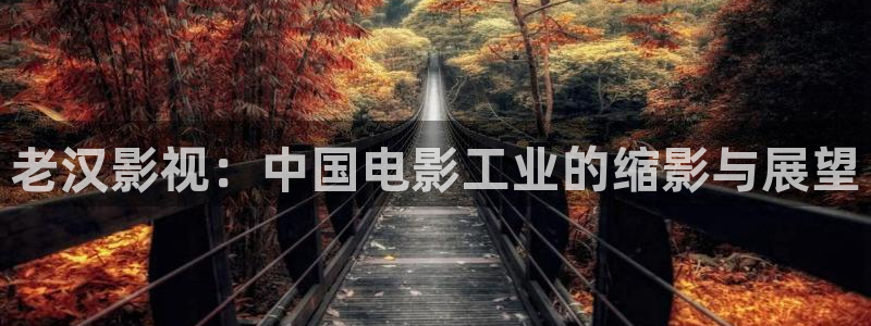 好电影99蜜桃：老汉影视：中国电影工业的缩影与展望