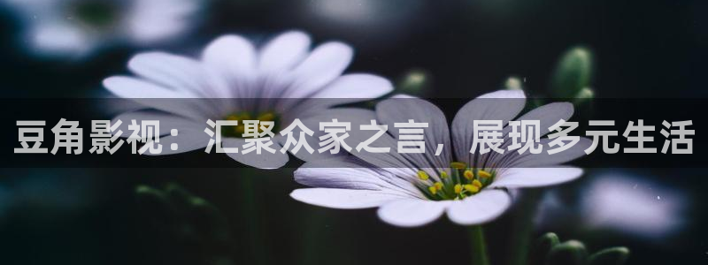 小小小蜜桃免费观看高清电视剧：豆角影视：汇聚众家之言，展现多元生活